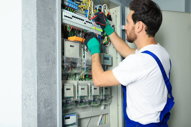 Best Electric Panel Repair  in Long Neck, DE
